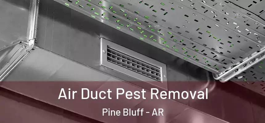  Air Duct Pest Removal Pine Bluff - AR