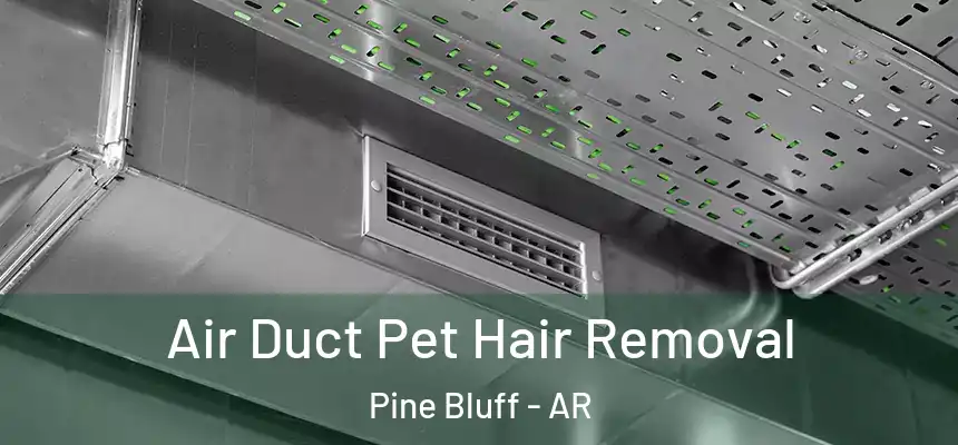  Air Duct Pet Hair Removal Pine Bluff - AR