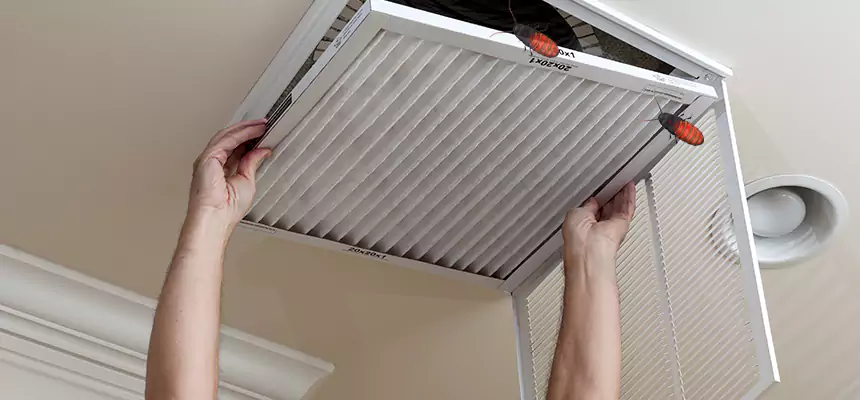 Preventive Cockroach-Proofing for Ducts in Pine Bluff
