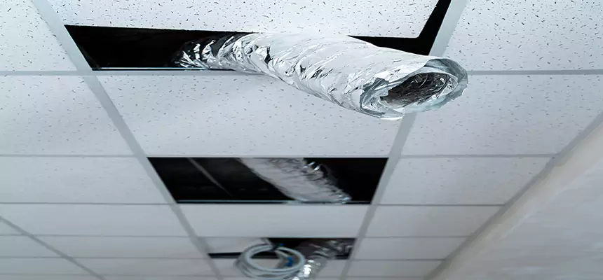 Our Air Duct Pet Hair Removal Services in Pine Bluff, AR