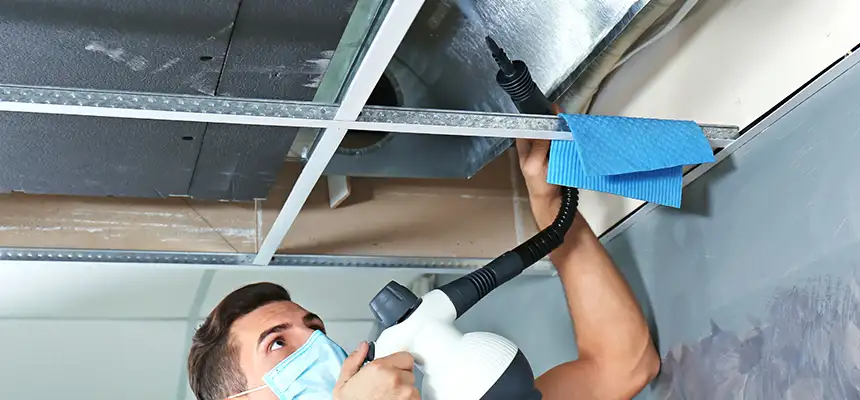 Our Air Duct Rodent Removal Services in Pine Bluff, AR