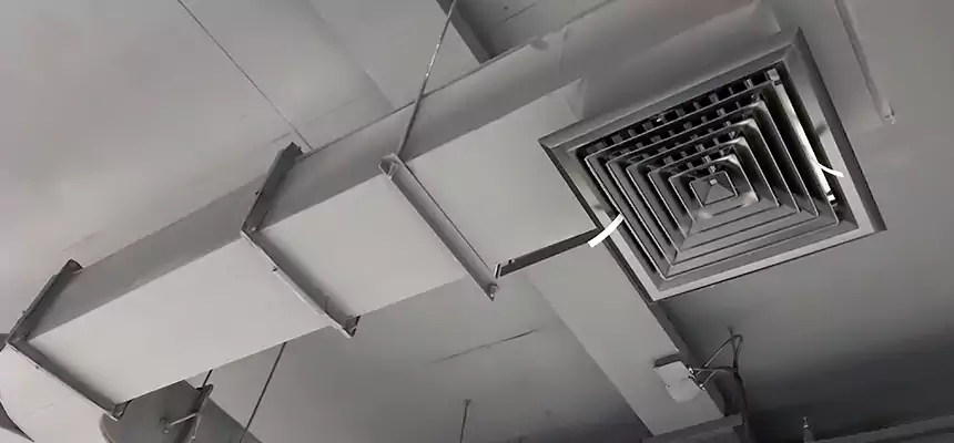 Restorative Allergy Relief Vent Cleaning – Coil, Blower & Housing Detail in Pine Bluff