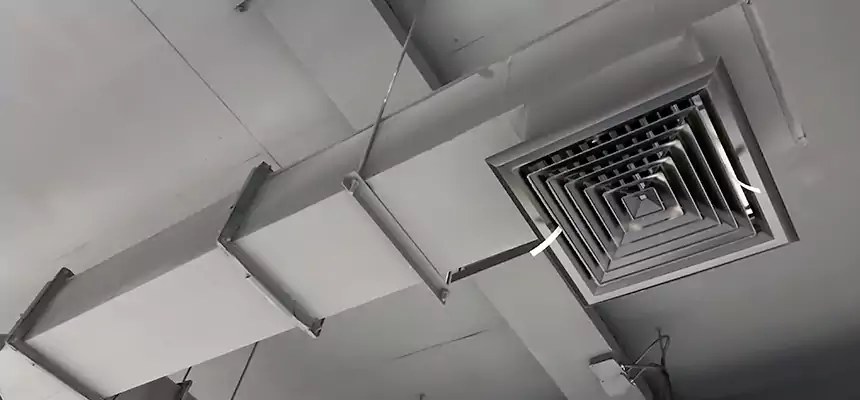 Our Rodent Droppings In Vents Services in Pine Bluff, AR