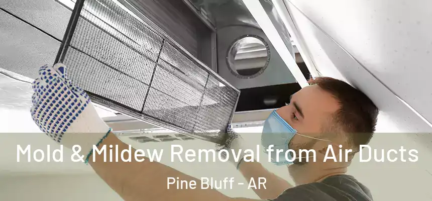  Mold & Mildew Removal from Air Ducts Pine Bluff - AR
