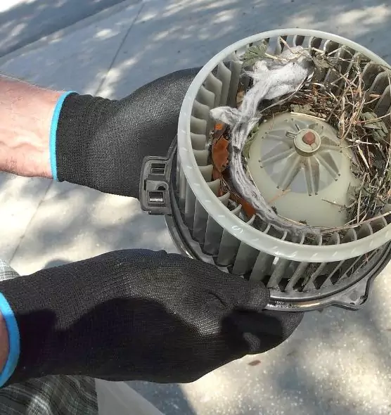 About Air Duct Mice Removal in Pine Bluff, AR