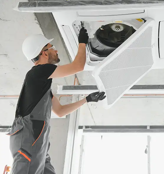 About Air Duct Rodent Removal in Pine Bluff, AR