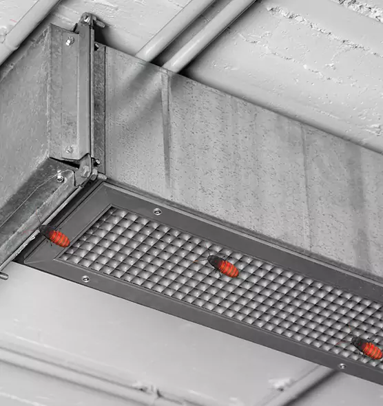 Affordable Insect Removal from Air Ducts in Pine Bluff, AR