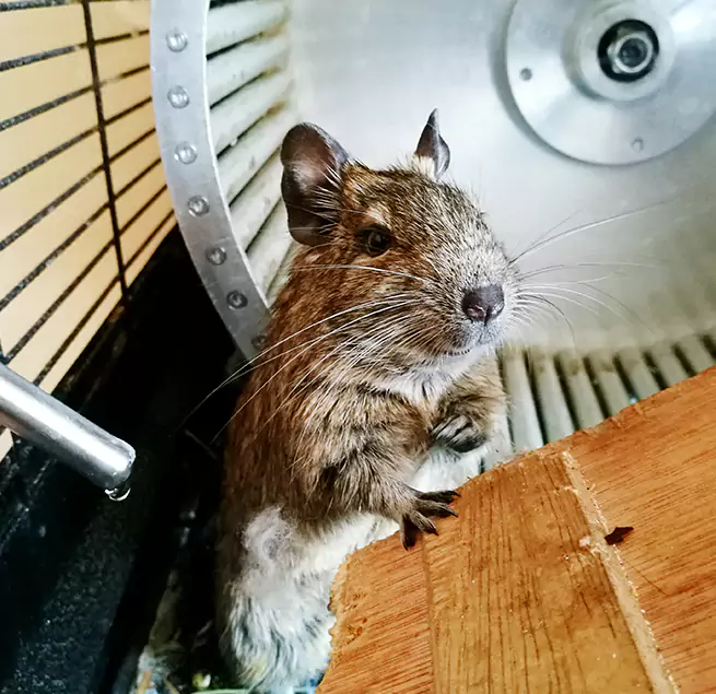 Why Homeowners & Businesses Trust Us Pine Bluff, AR?