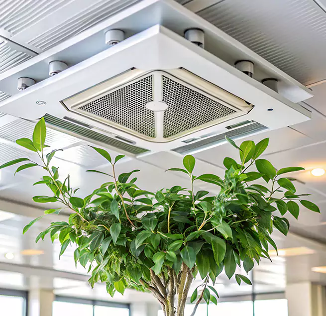 Why Homeowners & Businesses Trust Us in Pine Bluff, AR?